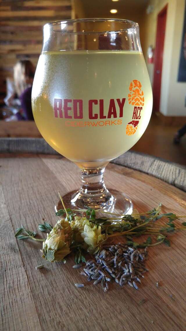 The Best Spring Beers to Drink in Charlotte Thrillist