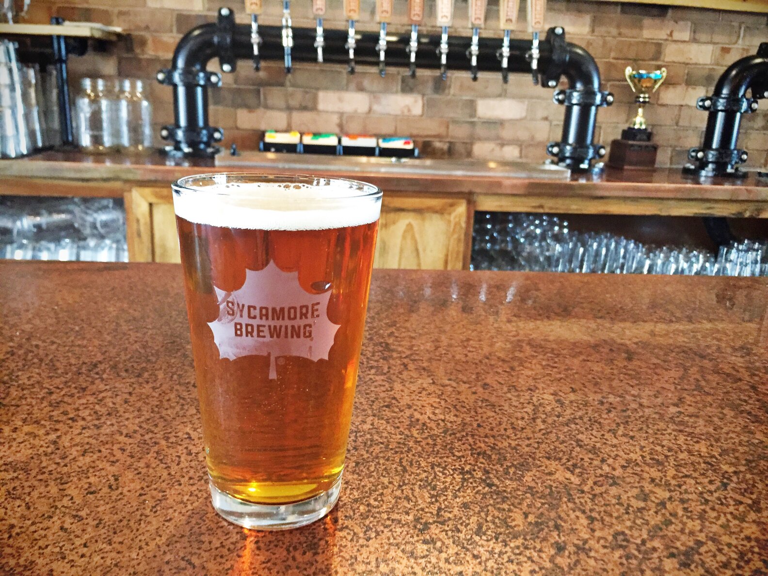 The Best Spring Beers to Drink in Charlotte Thrillist