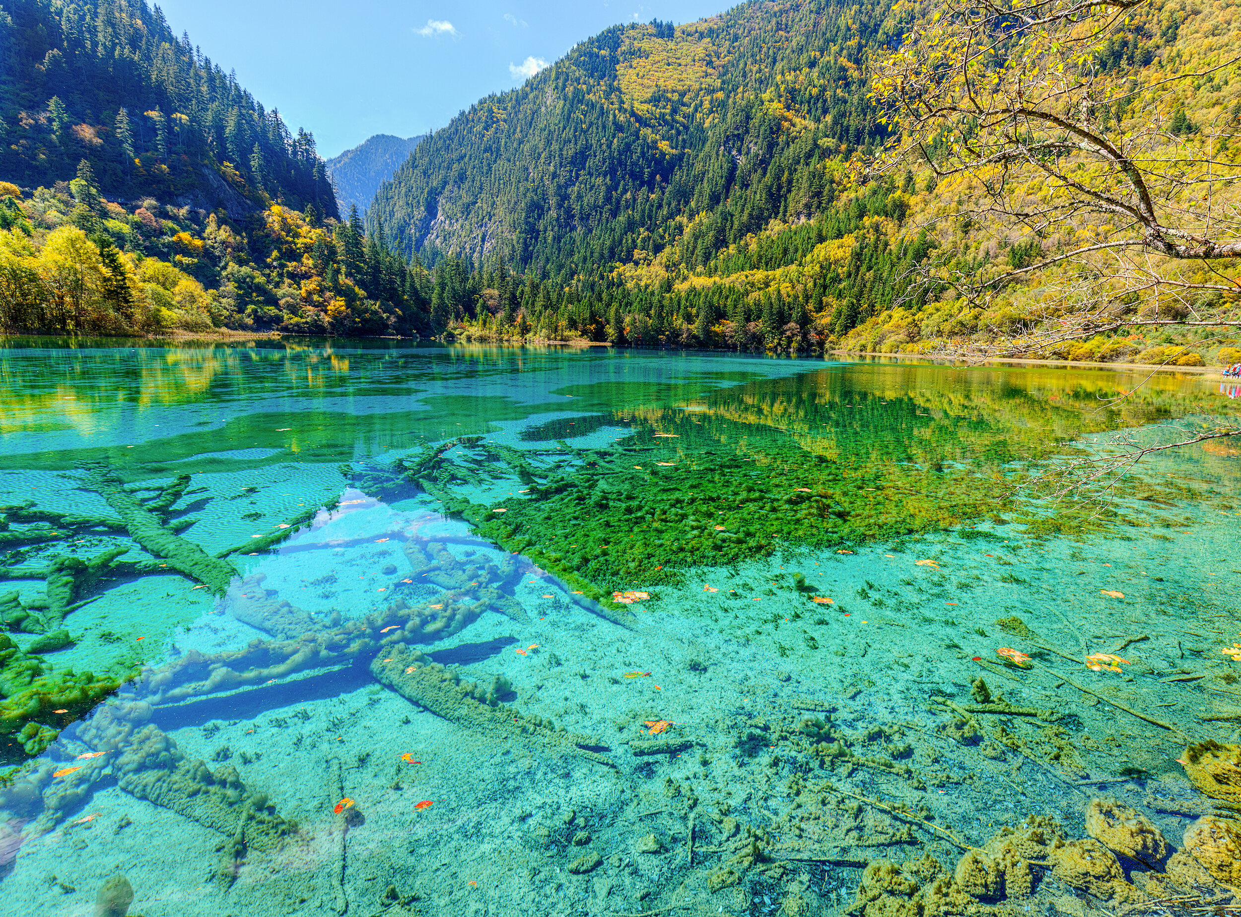 Clearest Lake In The World