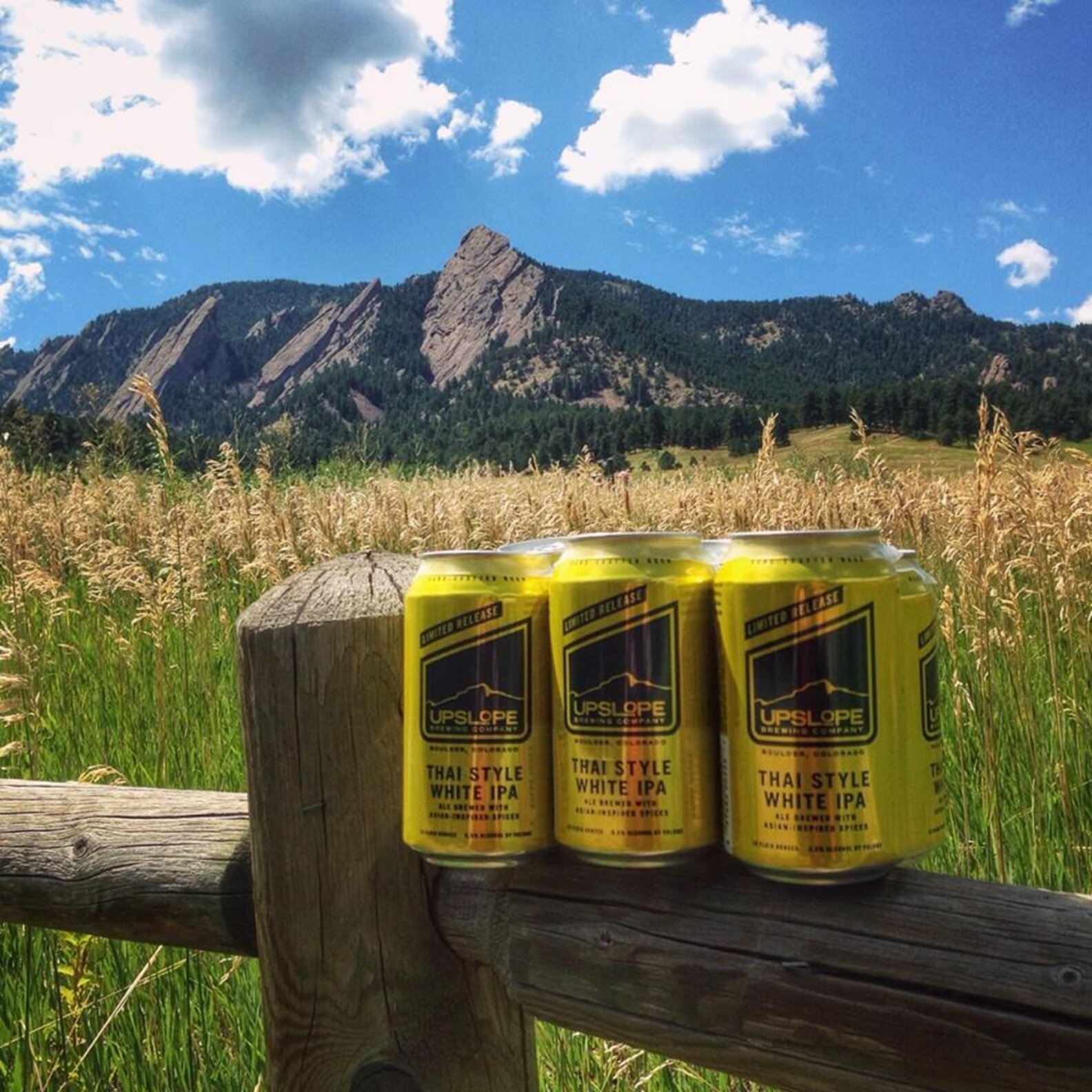 Best Summer Beers for Every State in America Thrillist