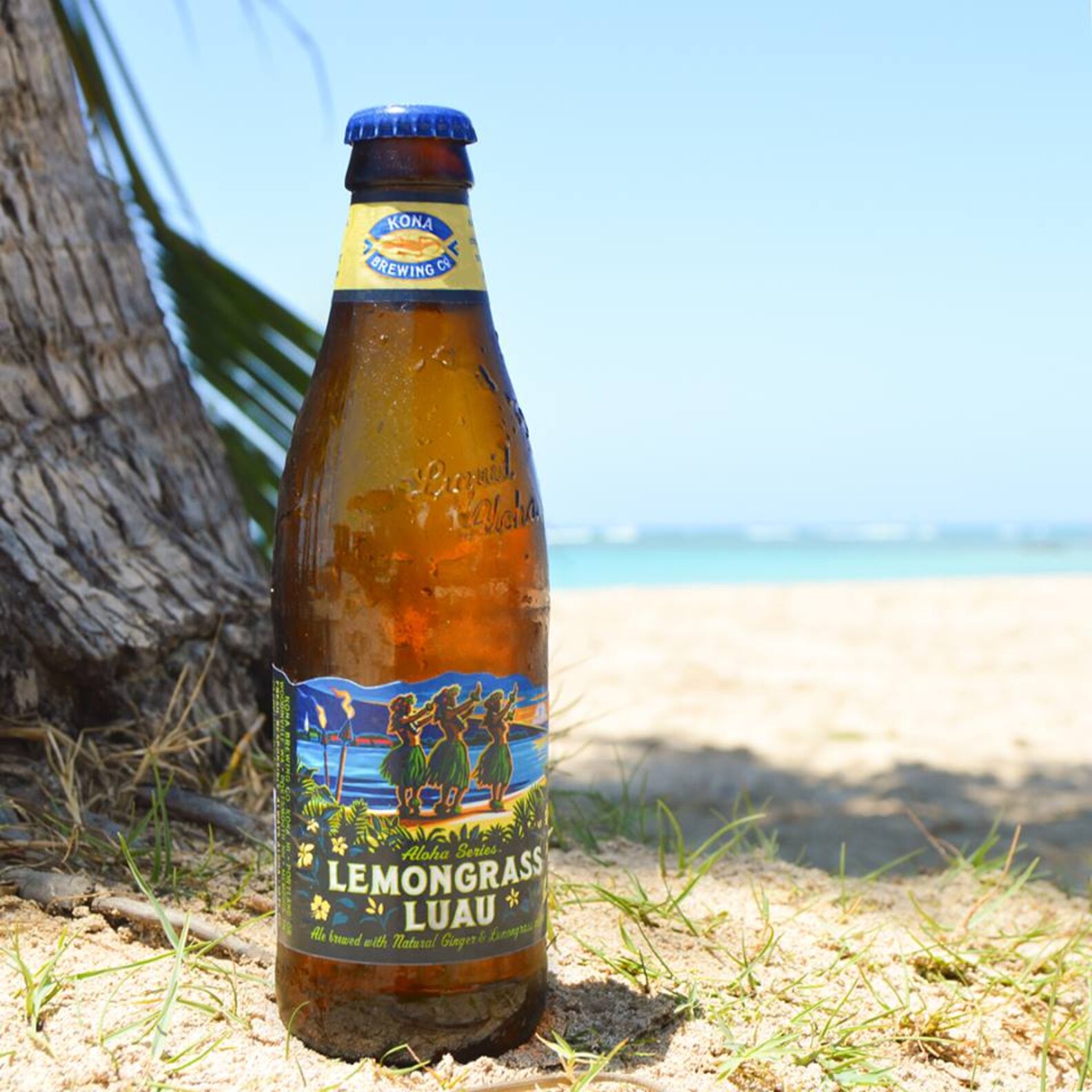 Best Summer Beers for Every State in America Thrillist