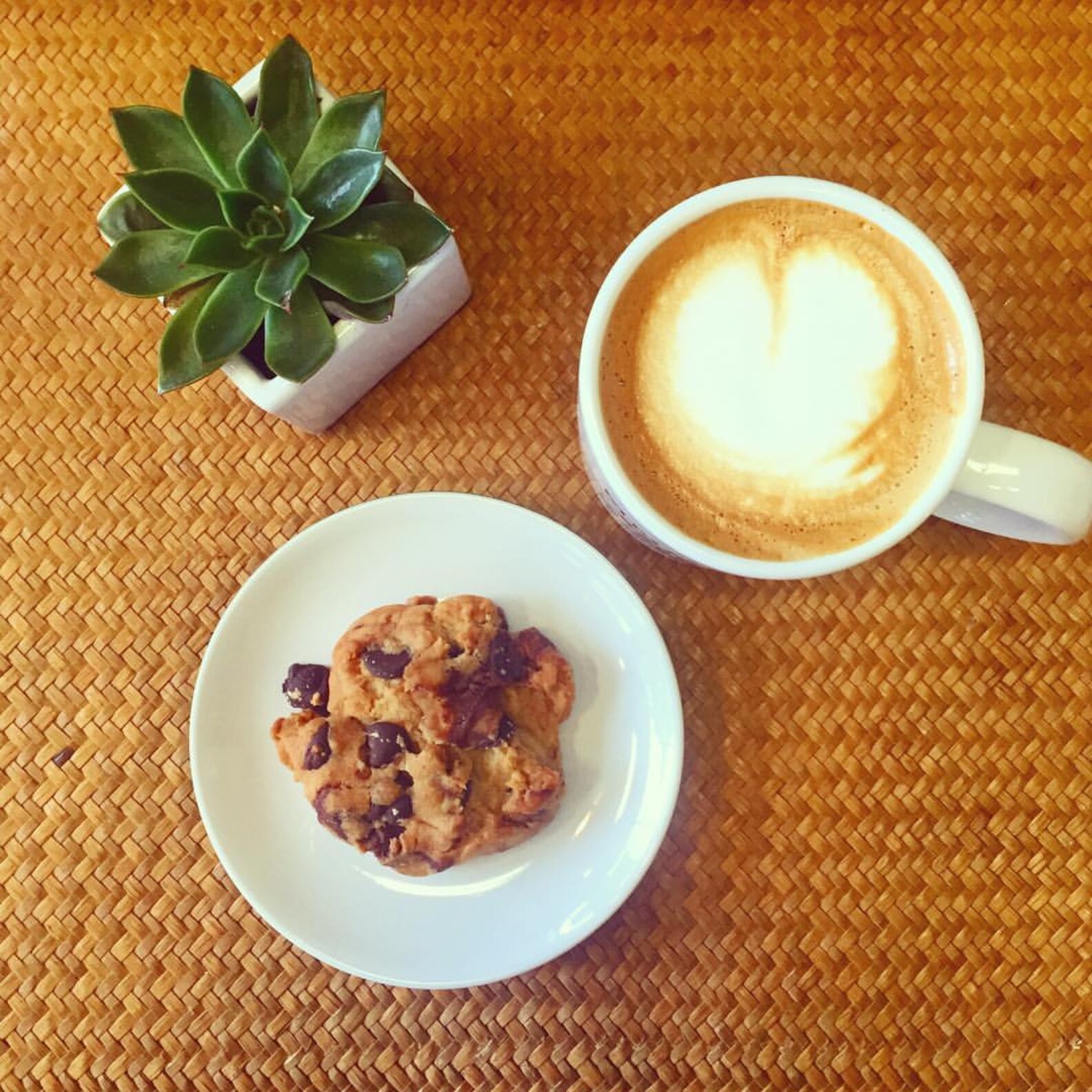 Best Coffee Shops in the East Bay, California Thrillist