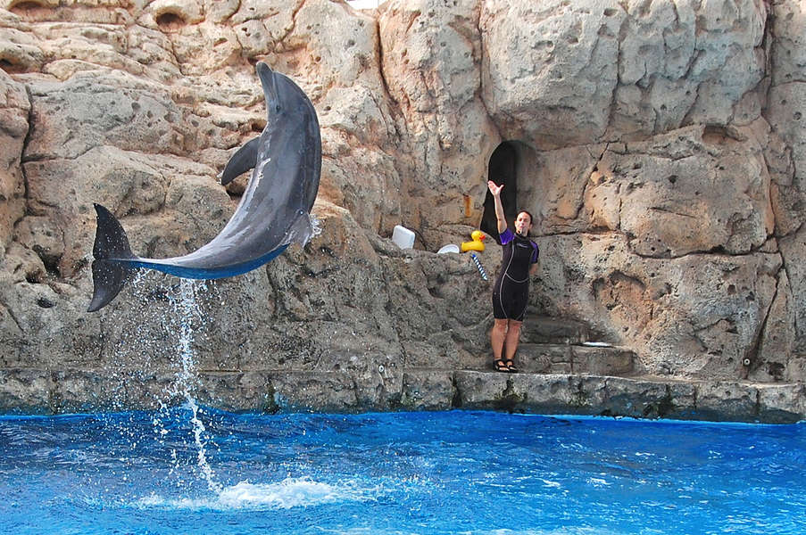 Texas State Aquarium A Other in Corpus Christi, TX Thrillist