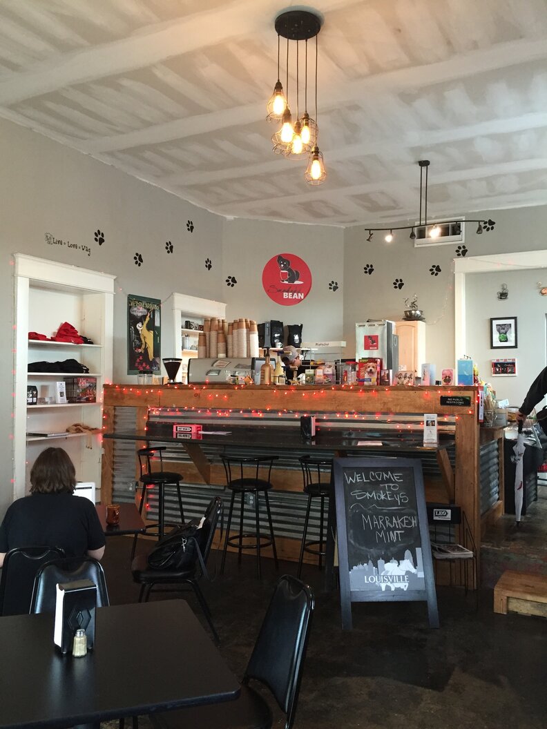 Best Local Coffee Shops in Louisville Heine Brothers, Vint, Safai