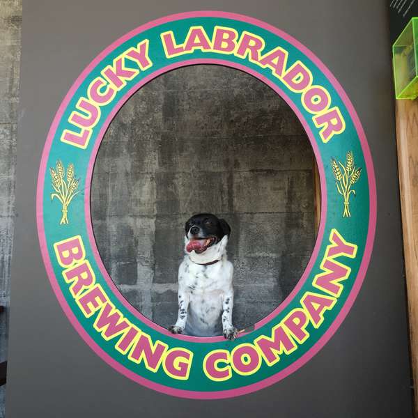 Lucky Labrador Brew Pub A Bar in Portland, OR Thrillist