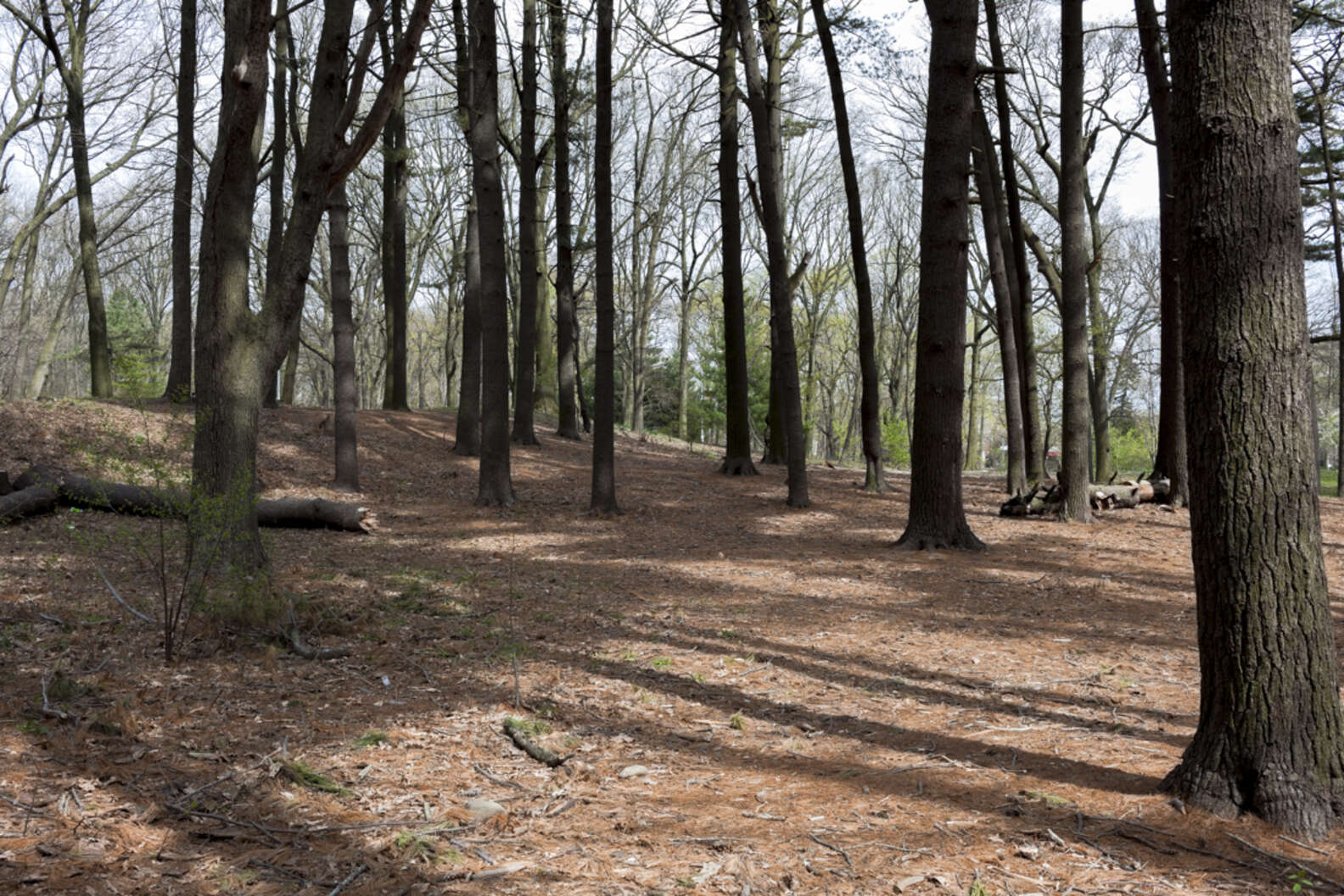 Best Camping & Hiking Near NYC You Can Reach Without a Car Thrillist