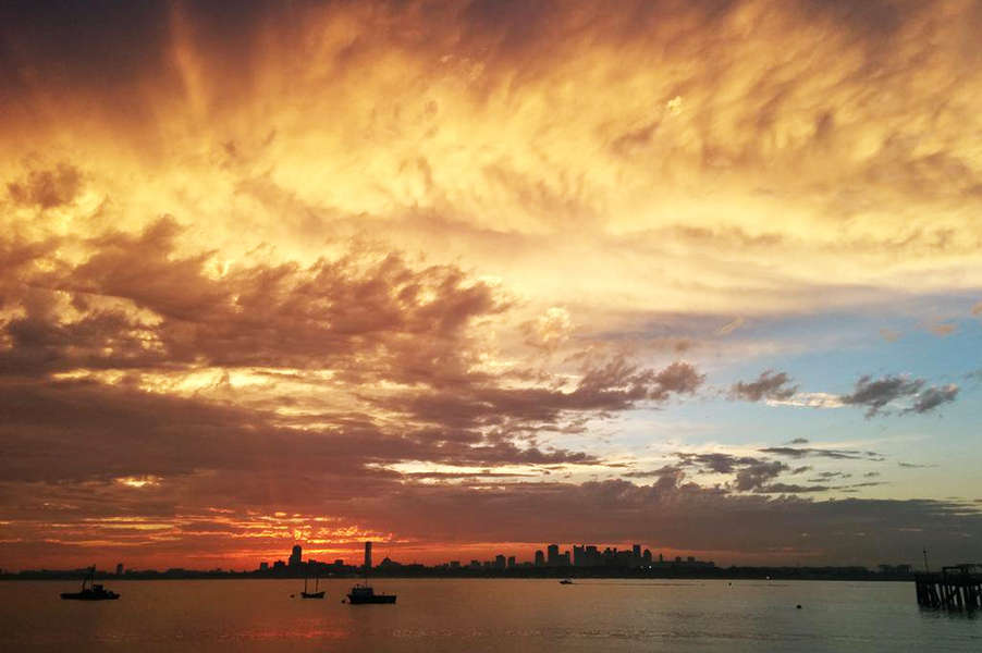 Squantum to Thompson Island Walk A Other in Quincy, MA Thrillist