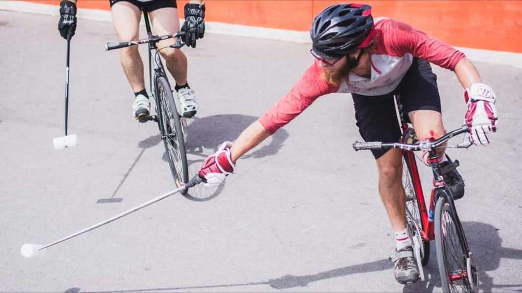 Best Sports Teams in the San Francisco Bay Area Thrillist