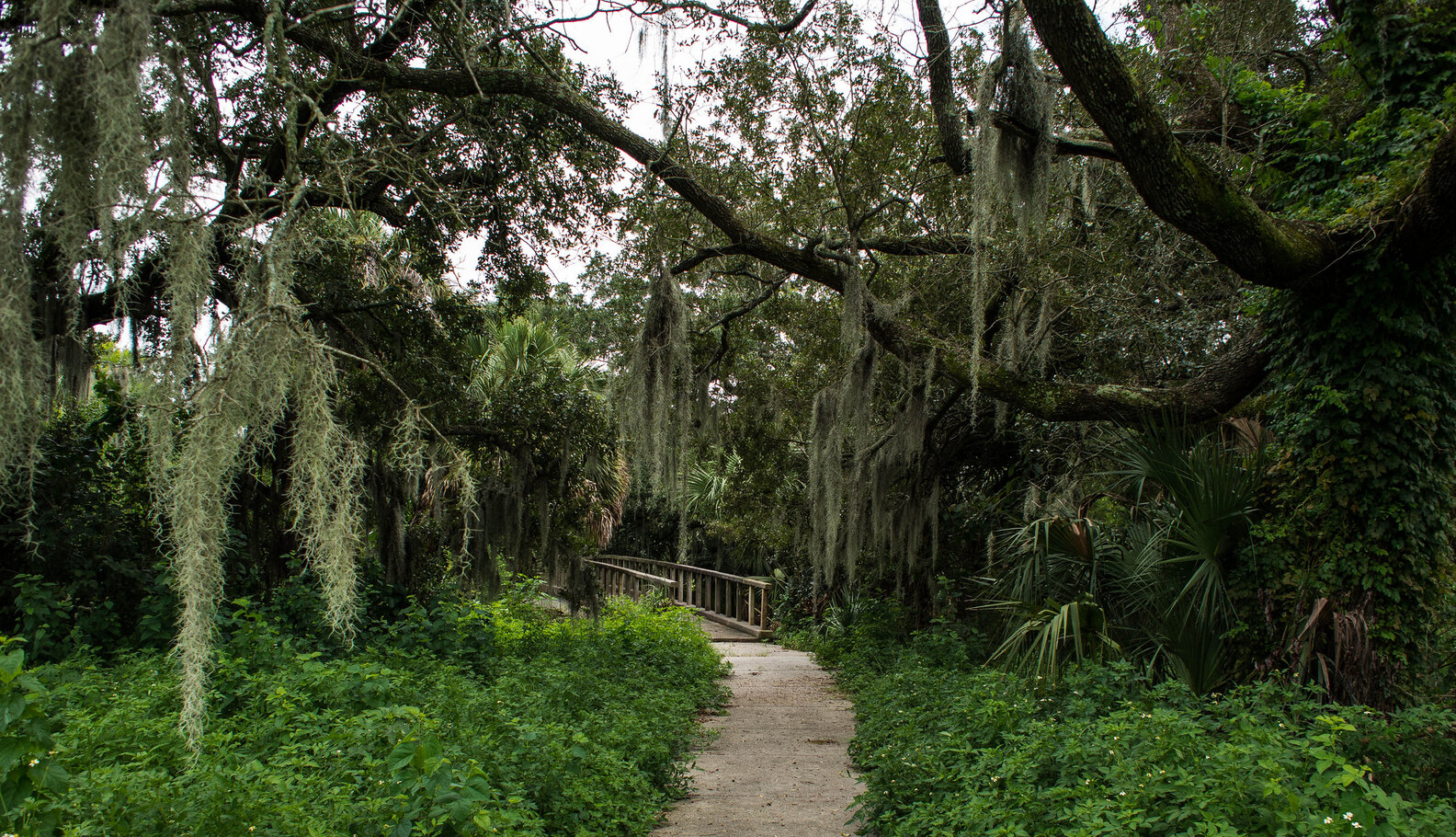 Best Places to Live in New Orleans Neighborhoods Buying vs. Renting