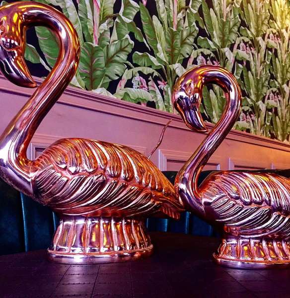 The Flamingo Rum Club A Bar in Chicago, IL Thrillist