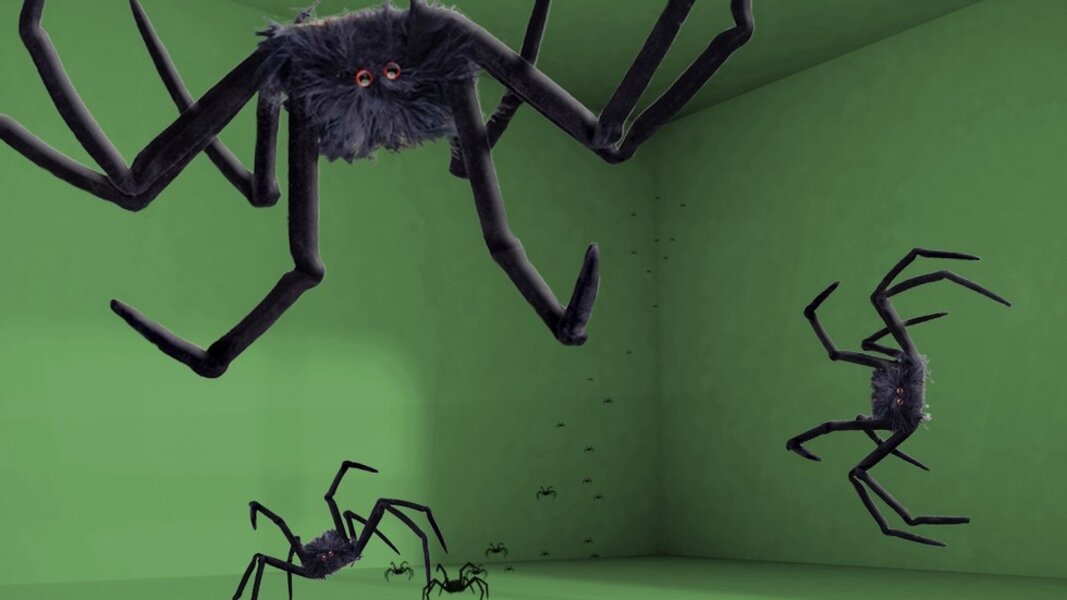 The Mysterious Way Spiders Can Walk On Walls And Why You Can't Seeker