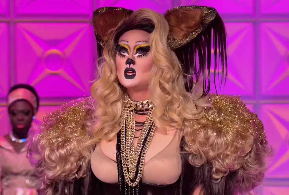 Best RuPaul Drag Race Contestants From Every Season & All Stars, Ranked