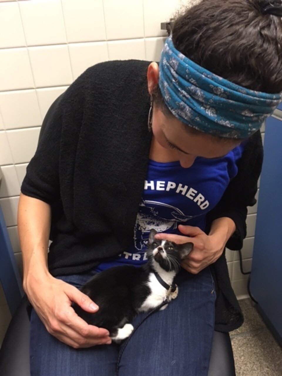 How To Bring An Animal From Another Country Back To The U.S. The Dodo