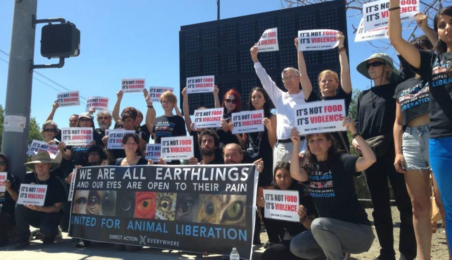 Why Do Vegans Activists? The Dodo