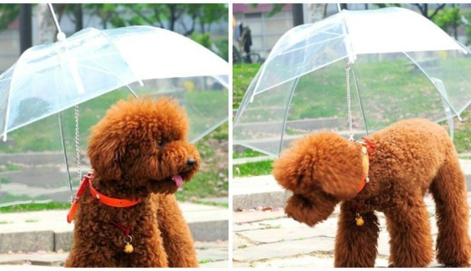 17 Genius Products Every Pet Owner Will Want The Dodo