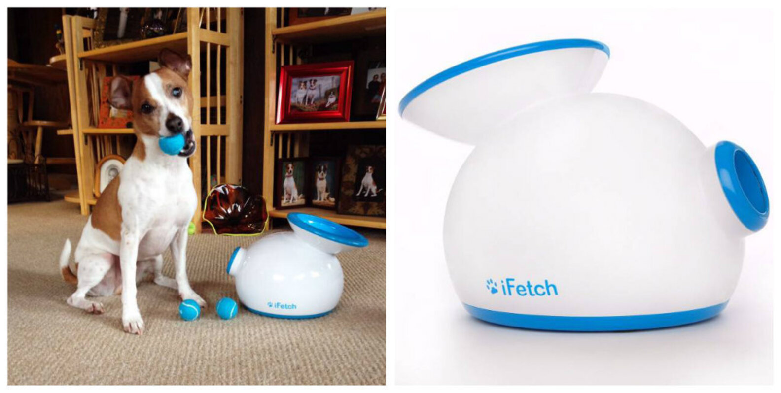 17 Genius Products Every Pet Owner Will Want The Dodo