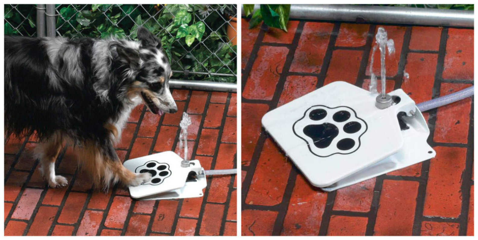 17 Genius Products Every Pet Owner Will Want The Dodo