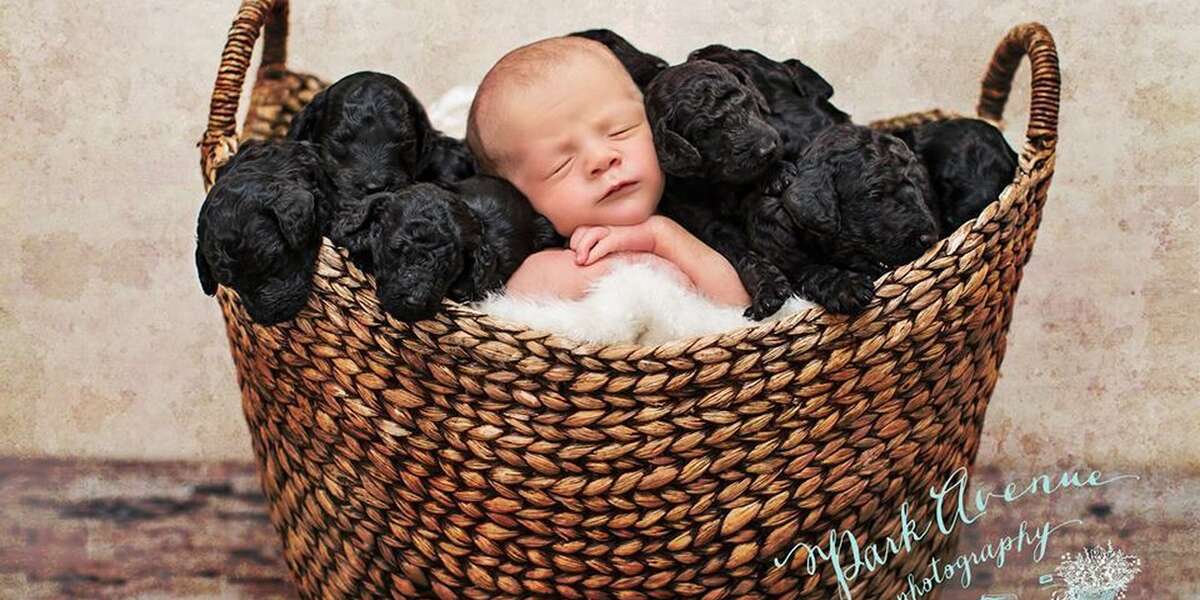 Woman And Her Dog Give Birth On The Exact Same Day The Dodo