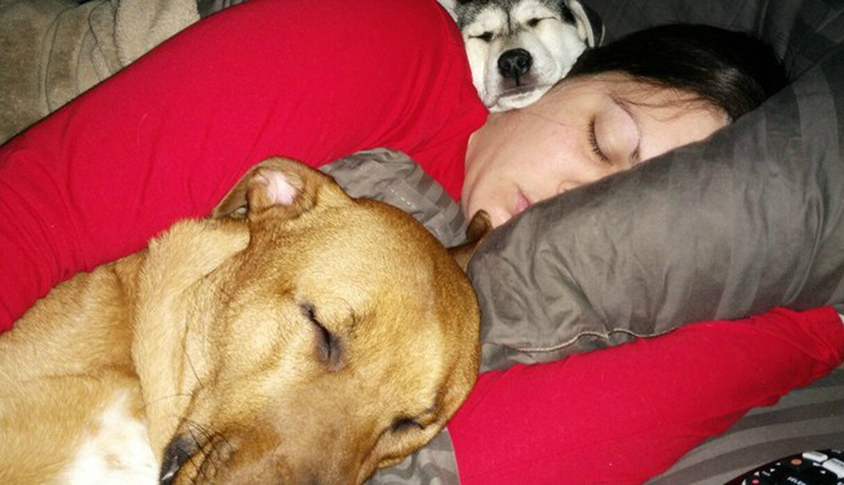 Cherished Bonds Dogs and Their Beloved Owners Embracing Warm