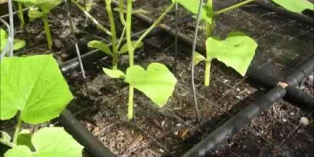 Garden Grid drip irrigation system offers quick & convenient watering setup for raised beds