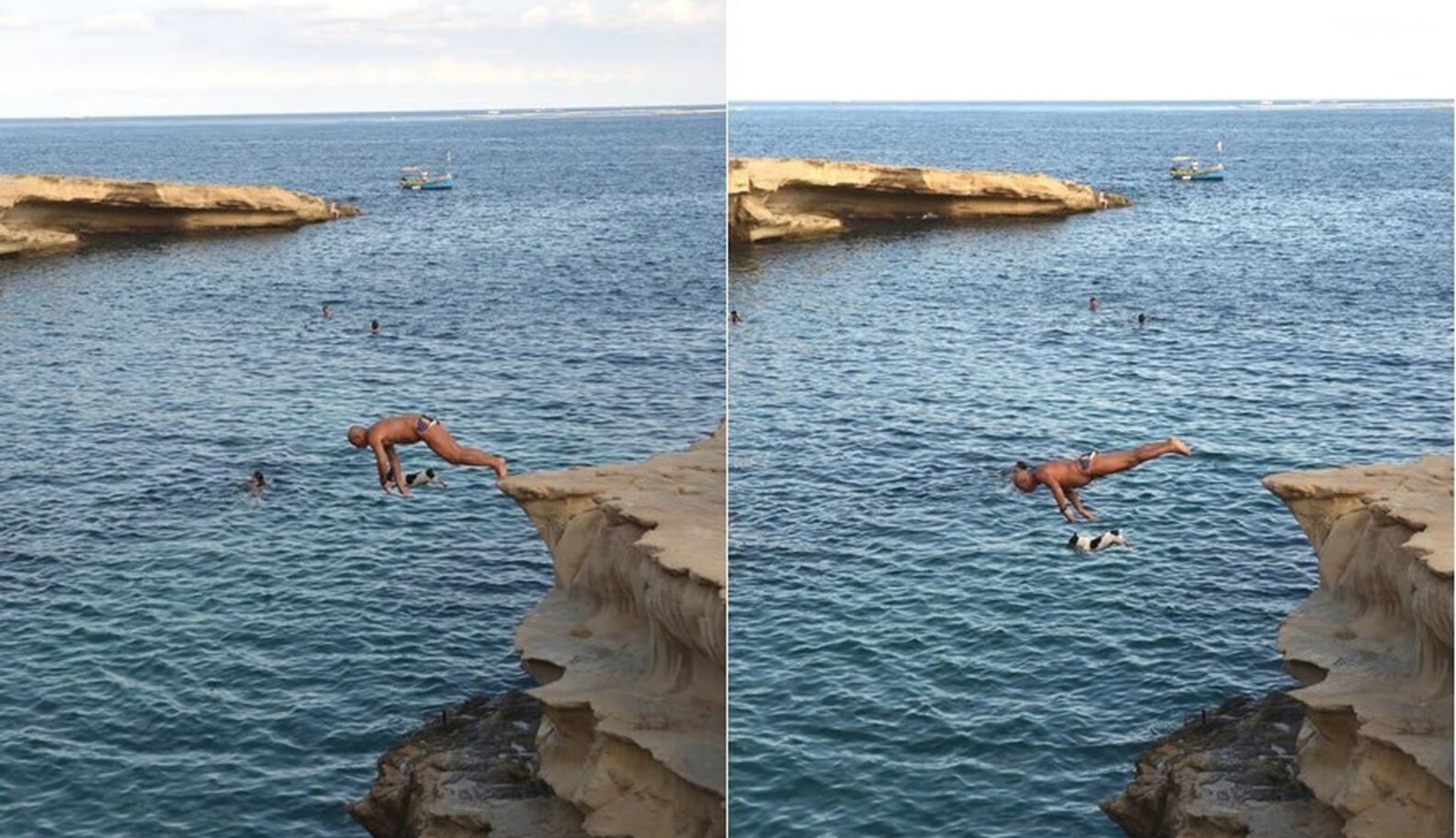 Dog Jumps Off Cliffs With Her Dad — And Loves It The Dodo