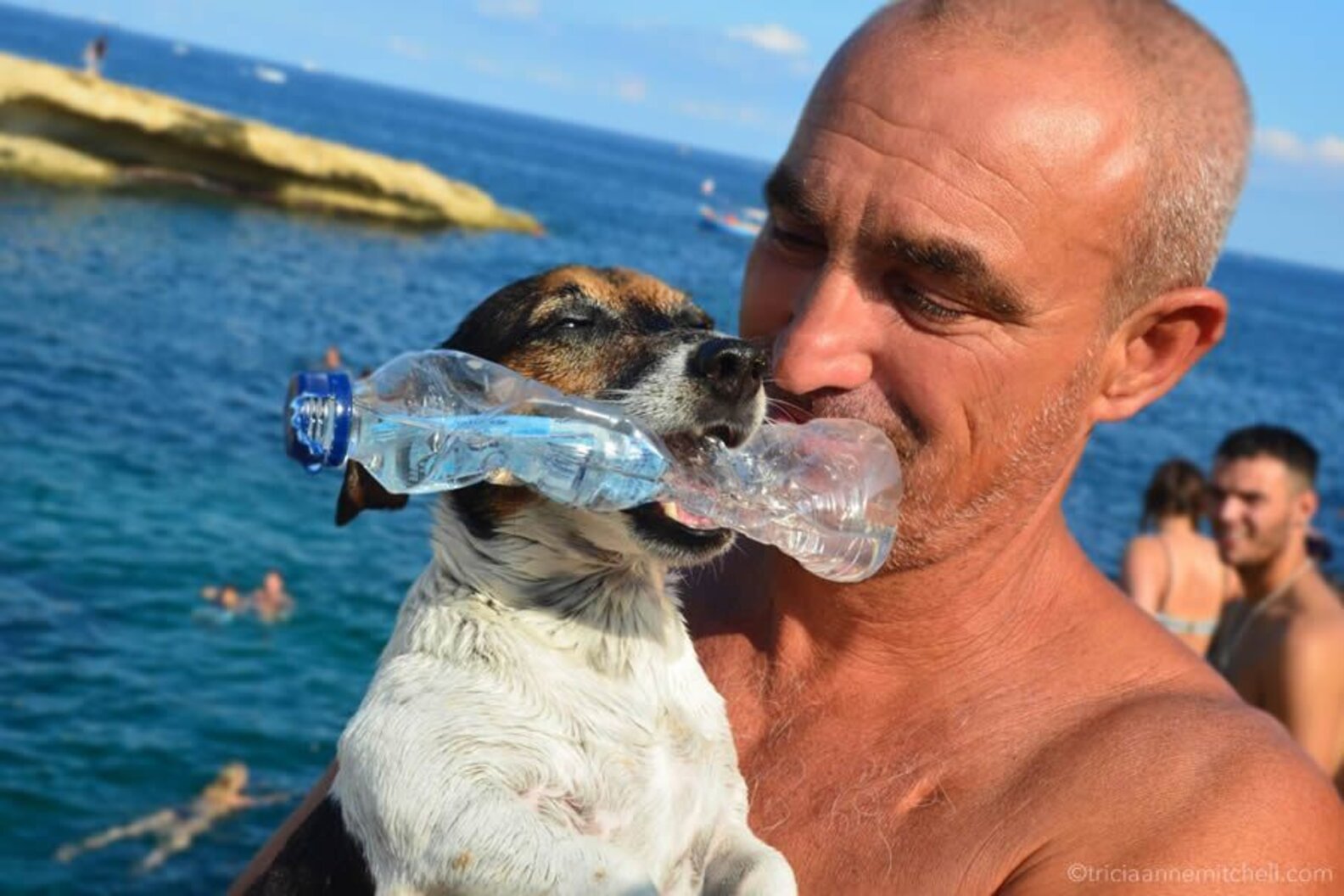 Dog Jumps Off Cliffs With Her Dad — And Loves It The Dodo