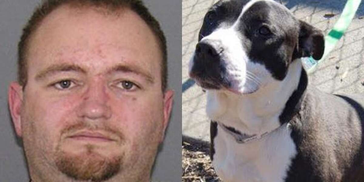 Man Ordered To Destroy 'Vicious' Dog Adopts LookAlike To Be Killed In