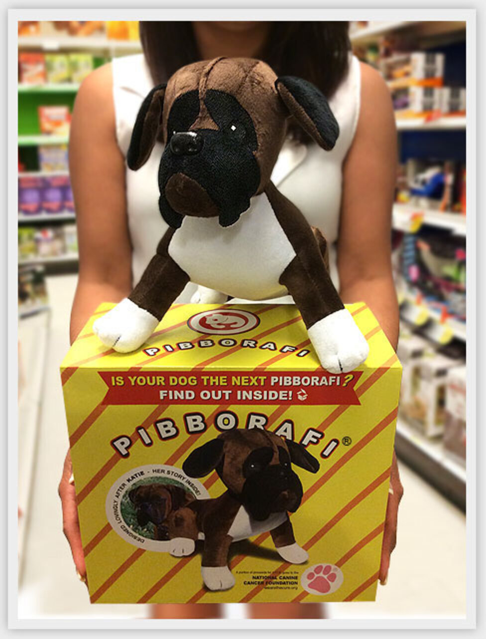 Rescue Dogs Get Stuffed Animals That Look EXACTLY Like Them The Dodo