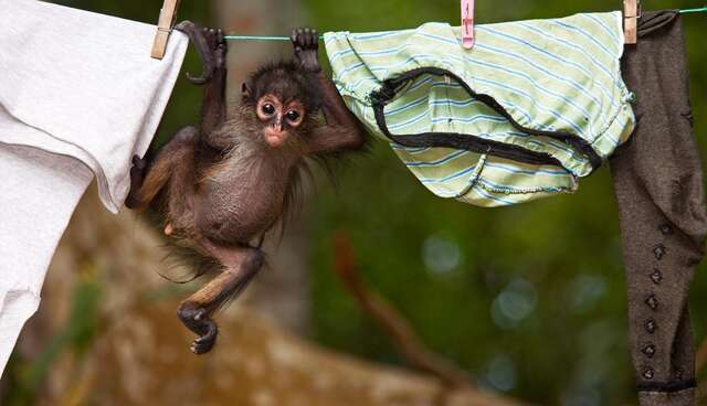 Wildlife Photographer Of The Year Contest Boasts Stunning Animal