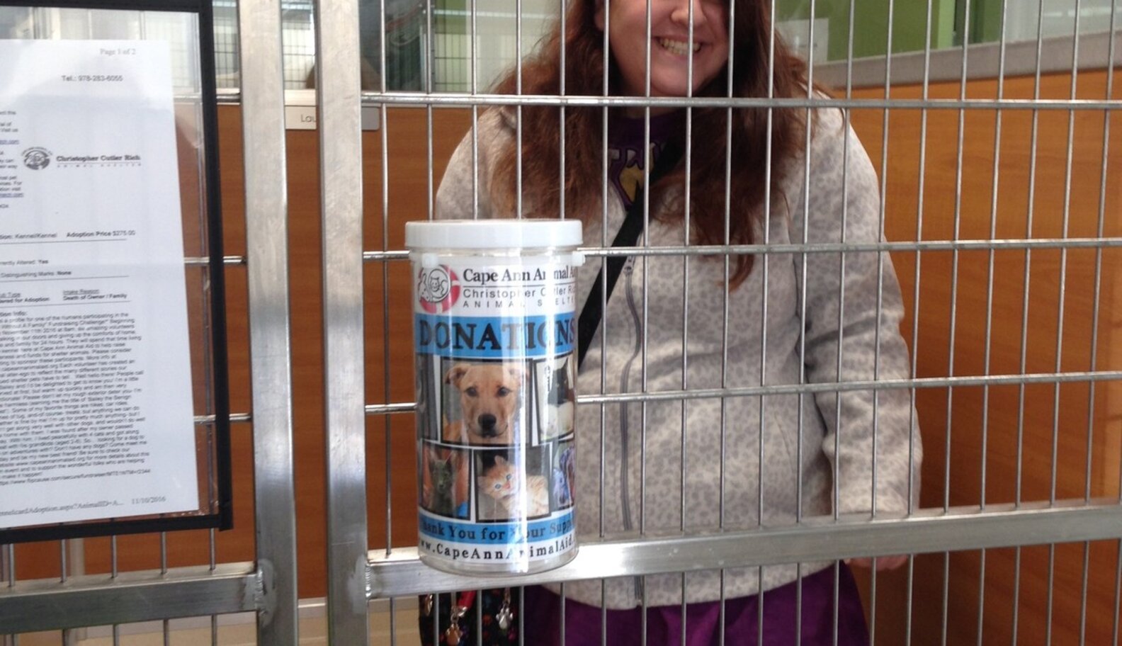 People Spend The Night In Shelter To See What Life's Like For Dogs The Dodo