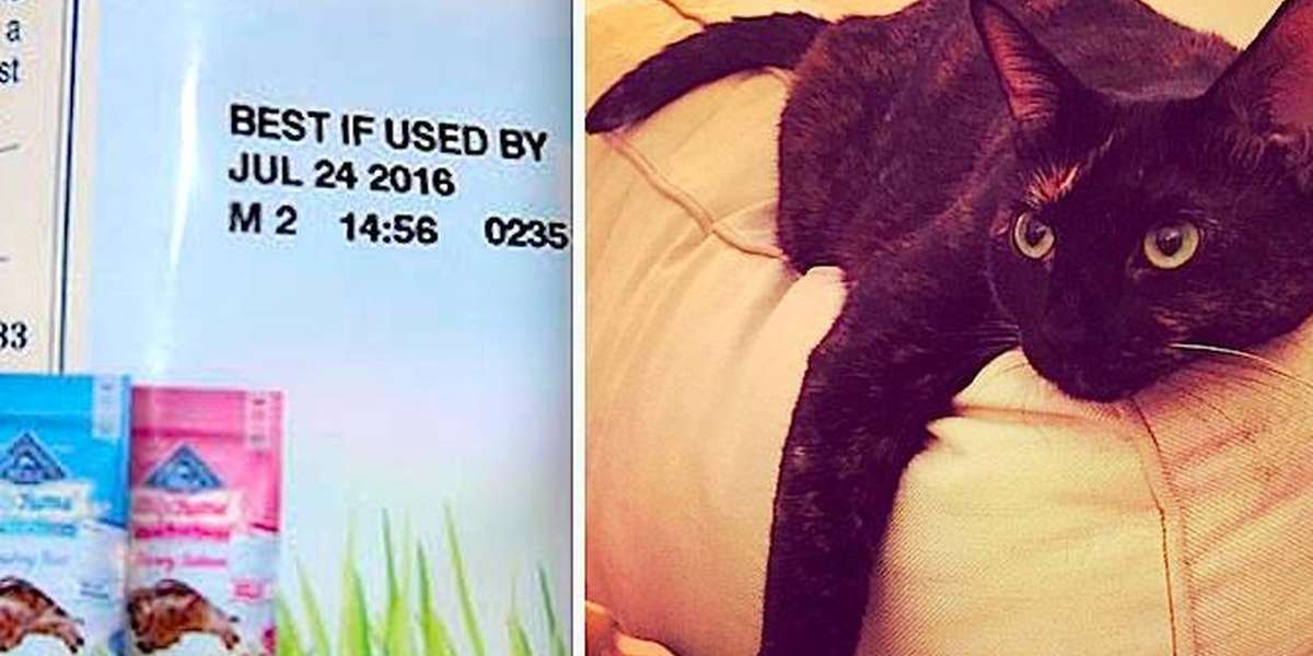 Popular Cat Treats Recalled Because Of Dangerous Chemical The Dodo