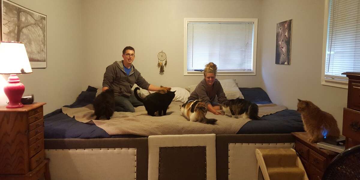 Couple Builds Giant Bed For The Best Possible Reason The Dodo