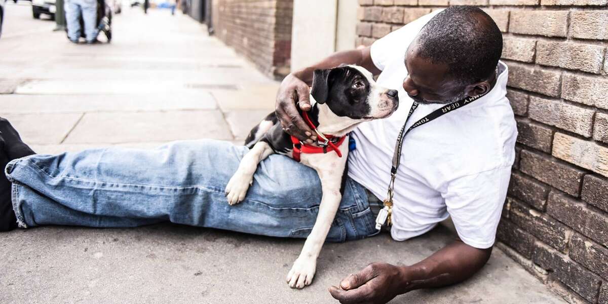 This Man And Dog Were Homeless At The Same Time — But Found Each Other The Dodo
