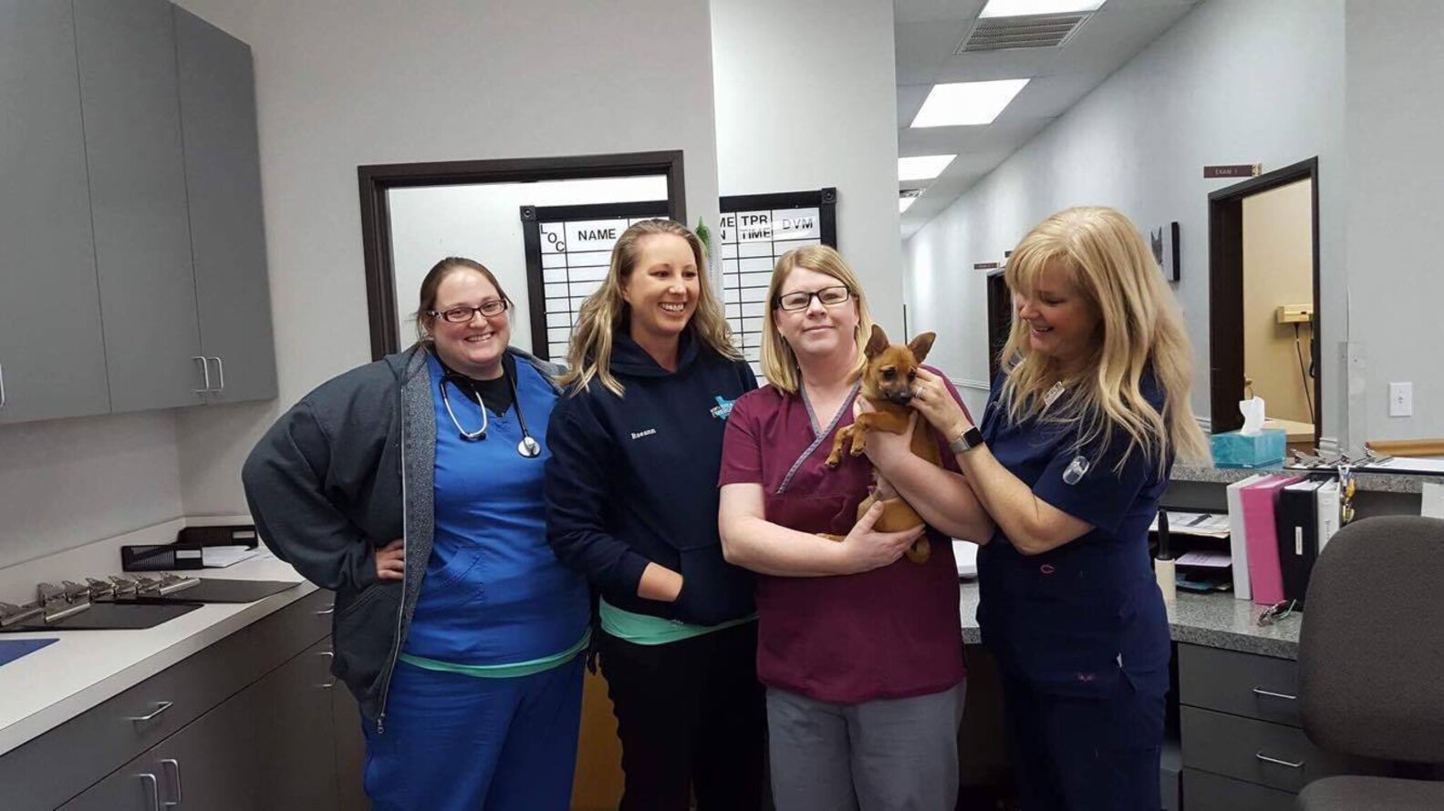 Puppy Who Overdosed On Heroin Makes A Full Recovery The Dodo
