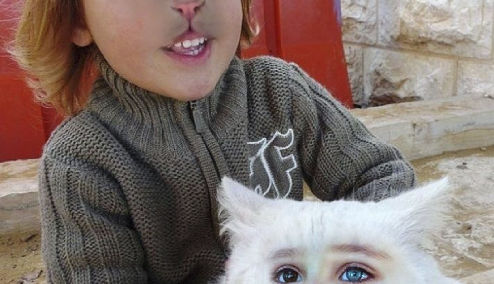 14 Animal/Human Face Swaps You Can't Unsee The Dodo