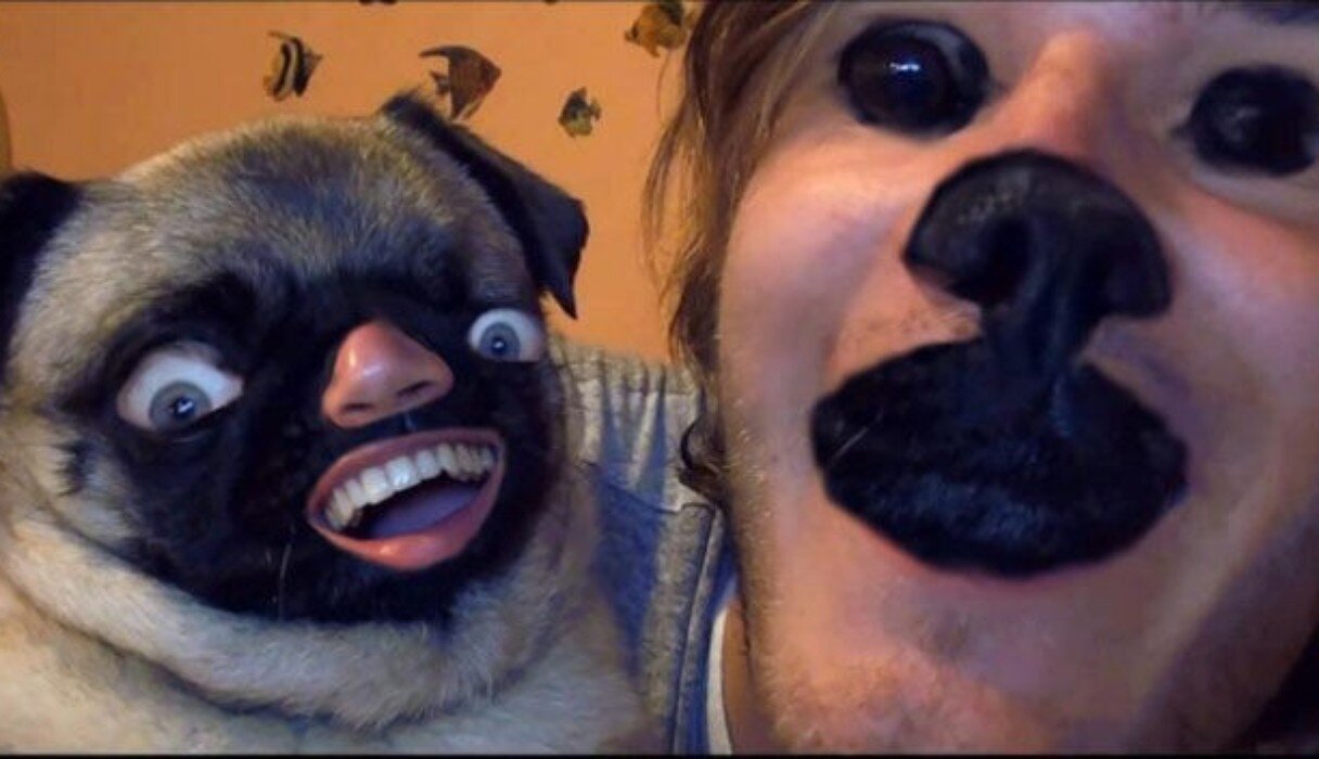 14 Animal/Human Face Swaps You Can't Unsee The Dodo