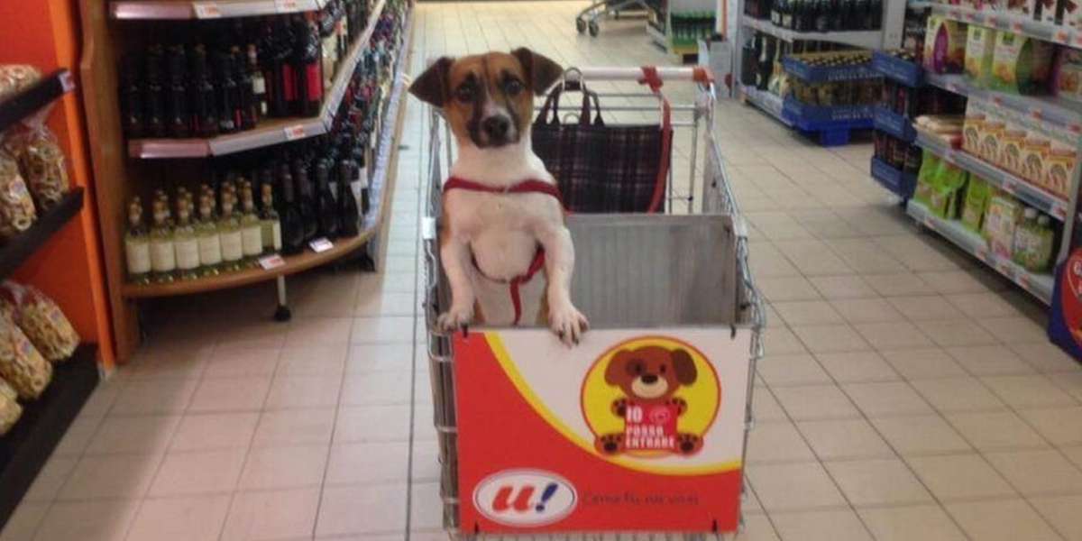 Grocery Store Makes Special Carts So Dogs Can Shop Too The Dodo