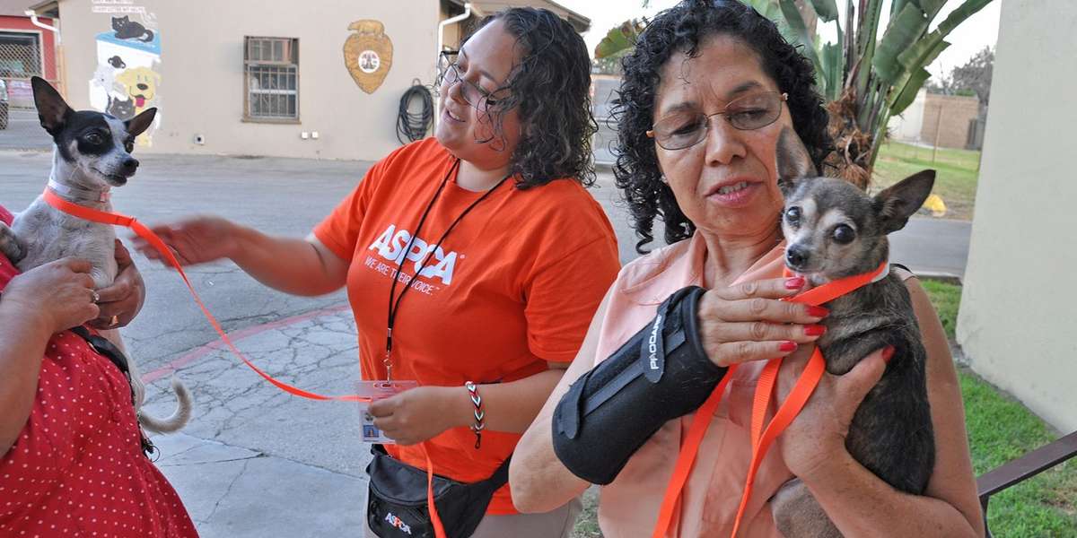 Two Sisters Took Their Dogs To A Shelter, Found A Way To Take Them Back Home The Dodo