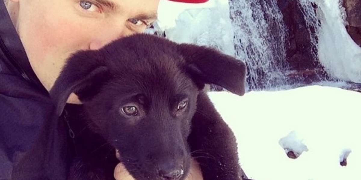 Olympic Skier Gus Kenworthy Back Home With 2 Sochi Strays The Dodo