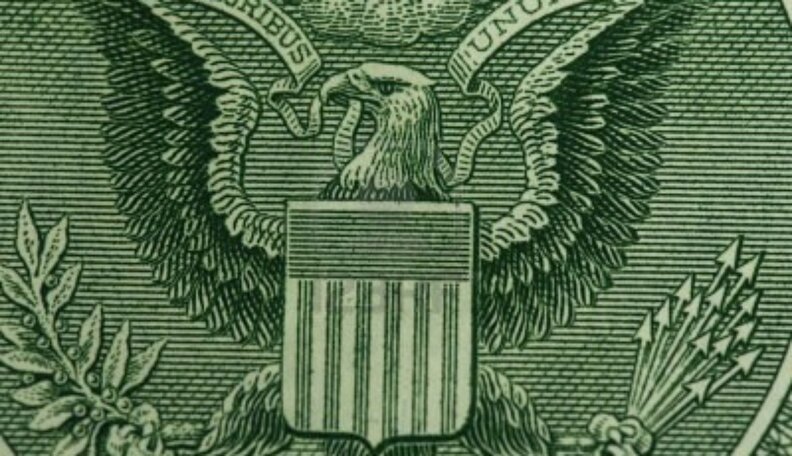 13 Things Every American Should Know About Bald Eagles - The Dodo 456_x_792_jpg