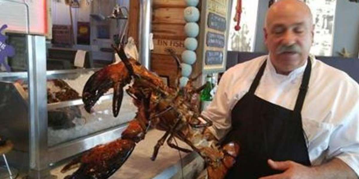 Chef Saves 100YearOld Lobster Moments Before Dinner The Dodo