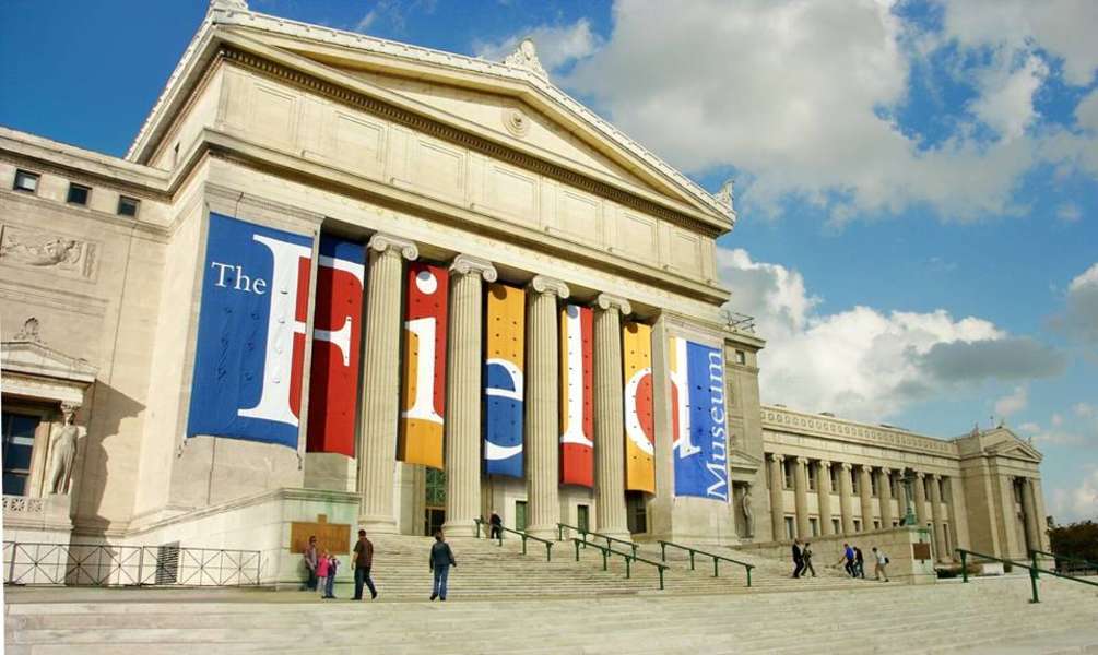 Best Exhibits at the Chicago Field Museum of Natural History Thrillist