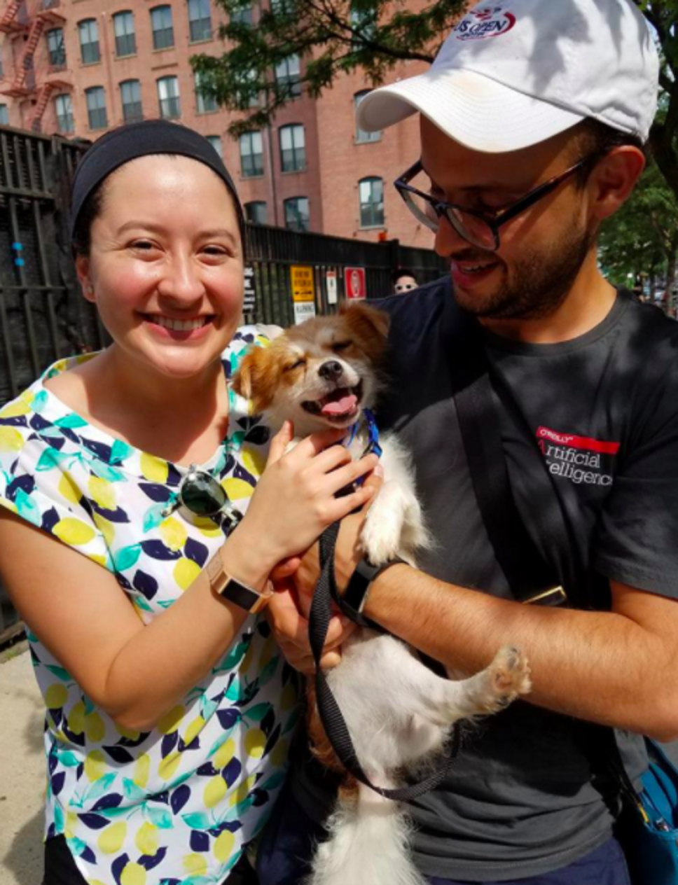 How To Adopt From A Korean Dog Meat Farm The Dodo