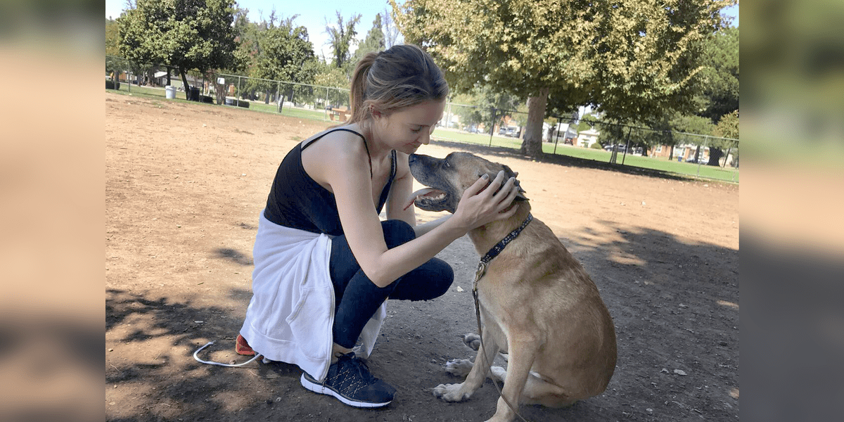 Woman Won't Give Up On Sick Shelter Dog Abused For 6 Years The Dodo