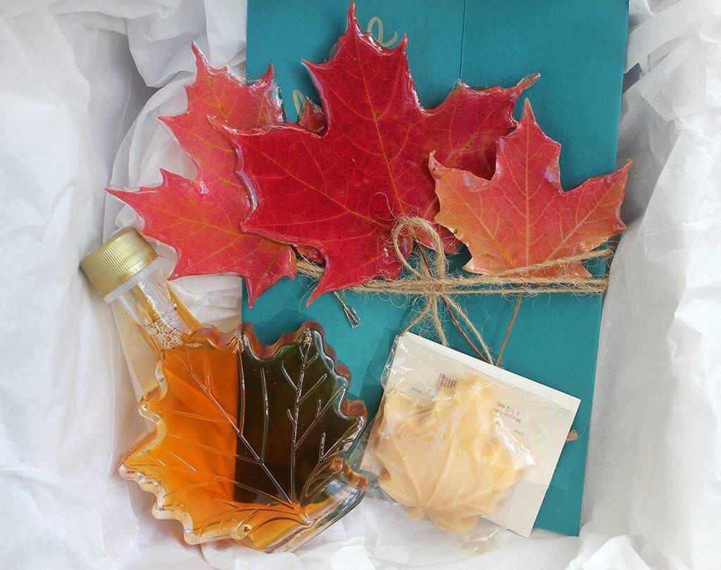 Fall Foliage 2017 You Can Have Leaves Shipped to You Thrillist