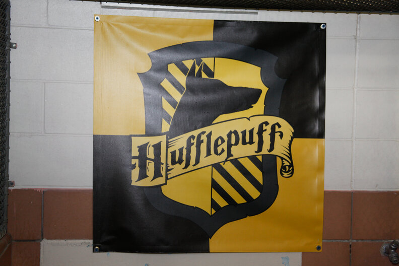 Shelter Is Sorting Dogs Into Hogwarts Houses To Help Them Get Adopted