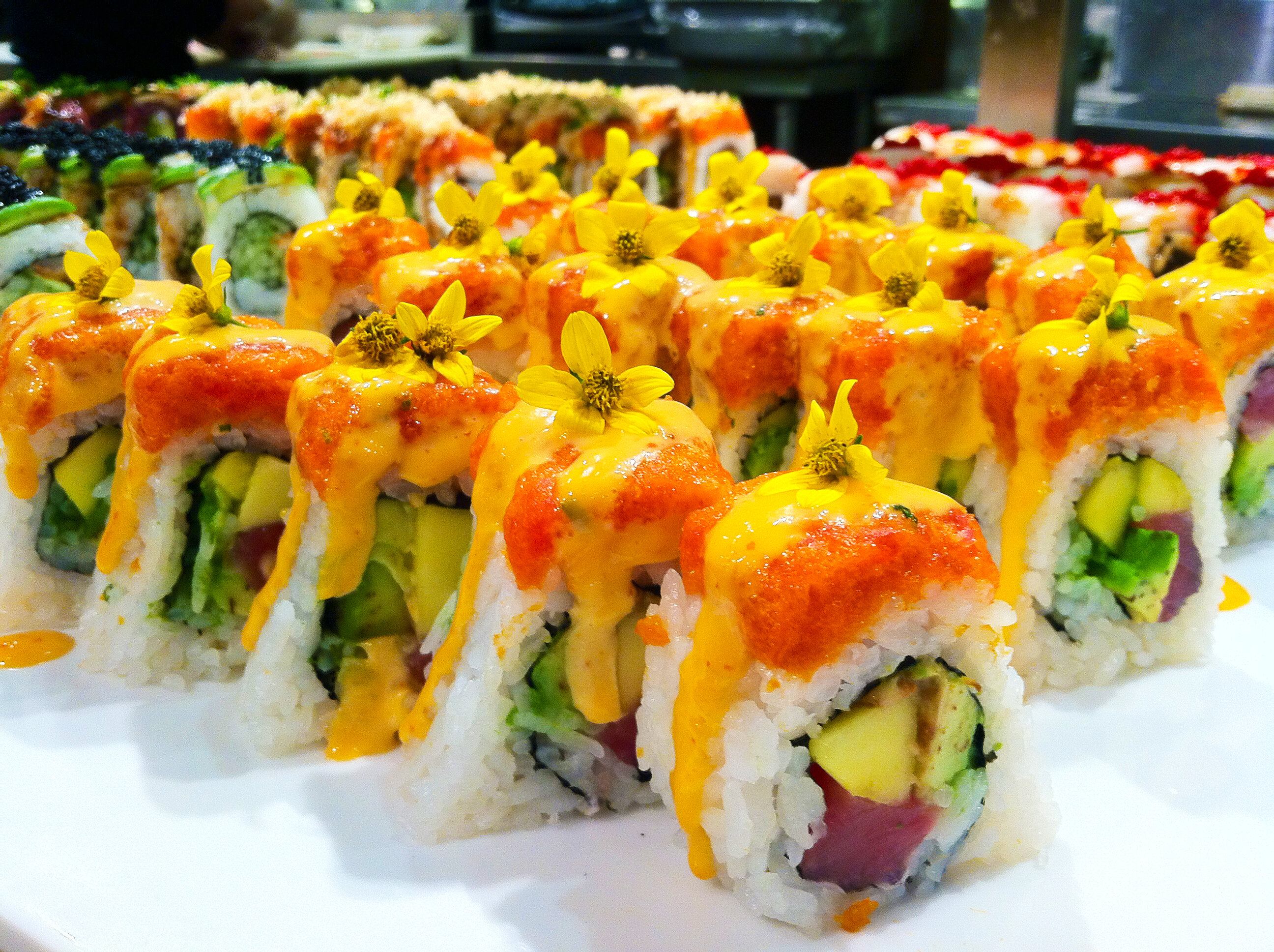 Überschuss Melodisch töten top ten sushi rolls Verkauf Weltweit bevorzugt