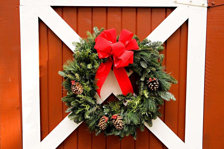 Best Christmas Tree Farms Near Chicago Thrillist