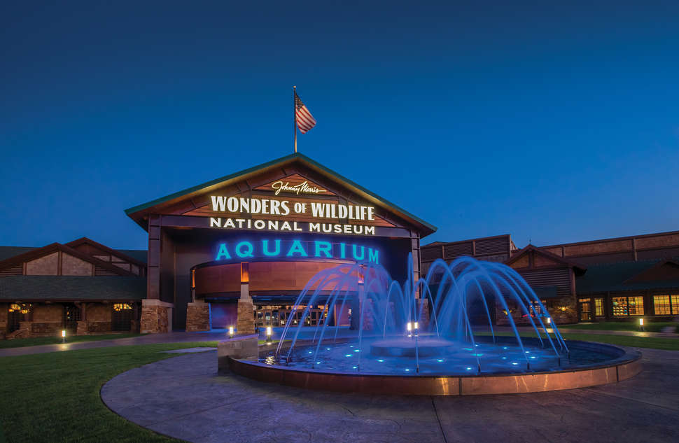 Inside Wonders of Wildlife Museum and Aquarium in Missouri Thrillist