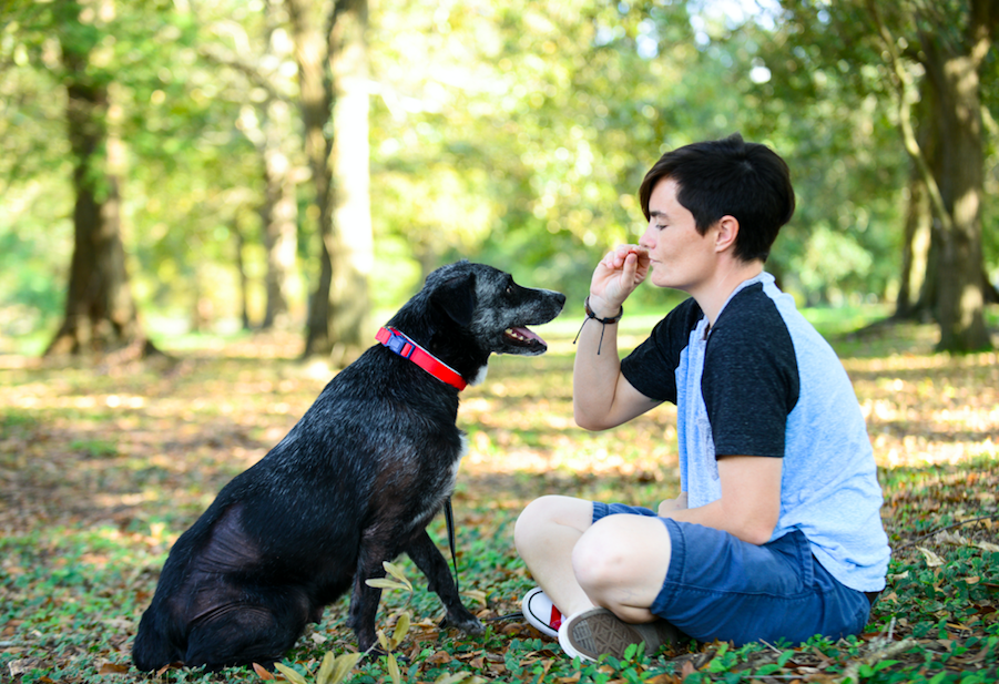 Abandoned Hairless Dog Finds The Perfect Person To Love Her The Dodo